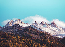 开云官方直播：以内容驱动的品牌新纪元